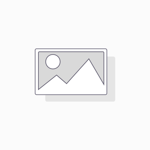 Tu proyecto — Con técnico (reunión de 30 min)